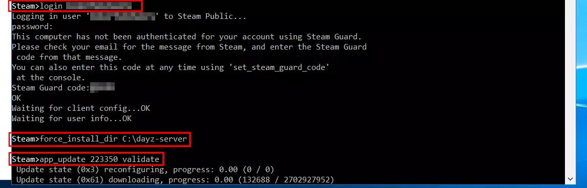 SteamCMD: instalación del DayZ server