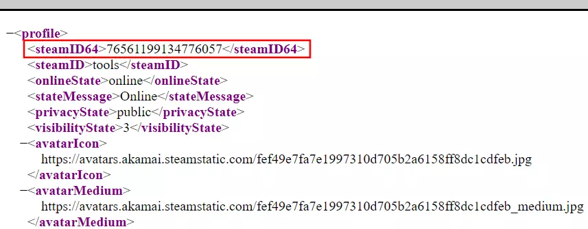 Archivo XML del perfil de Steam en el navegador web