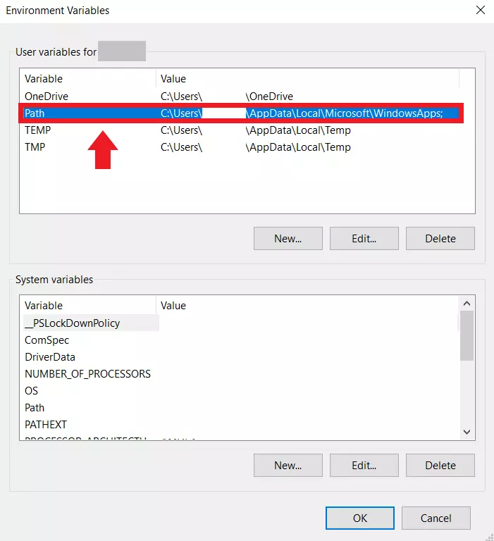 Las variables de entorno en el panel de control de Windows