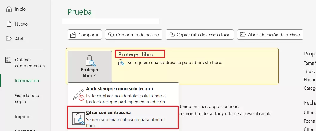 Imagen del menú Archivo > Información > Proteger libro