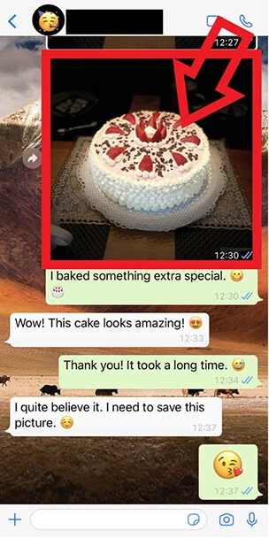 Captura de pantalla de iPhone de un chat de WhatsApp con una foto de un pastel