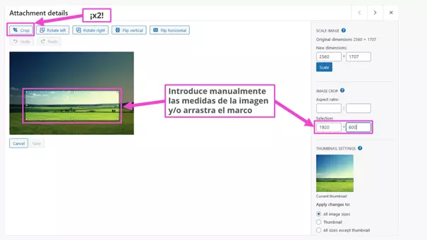 Elige las medidas nuevas de la imagen en la biblioteca multimedia de WordPress