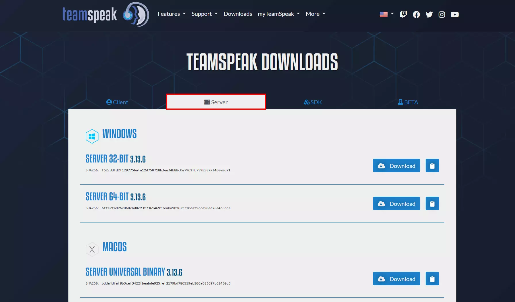 Captura de pantalla del centro de descargas de TeamSpeak