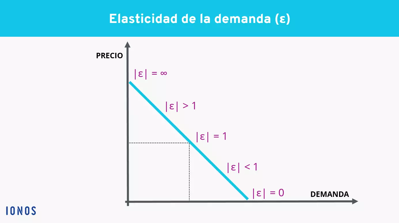 grafica-de-la-elasticidad-precio-de-la-demanda.png