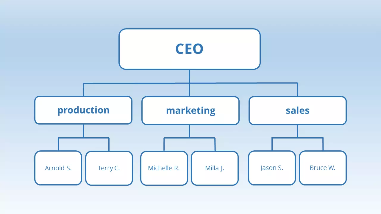 EN-functional-organisational-structure.png